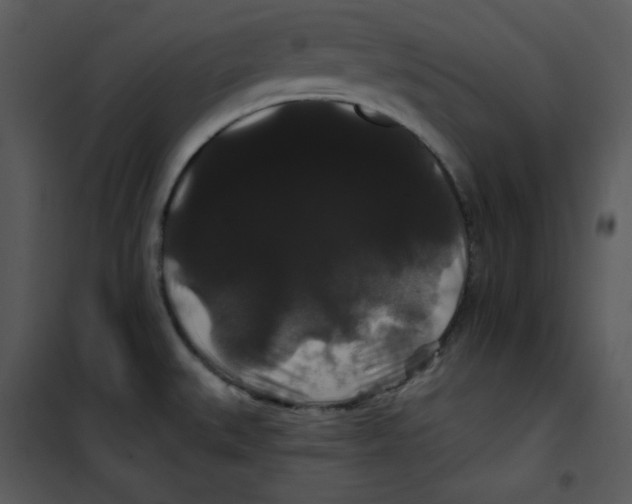 X0000100891527200807220939