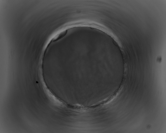 X0000100891530200807220939