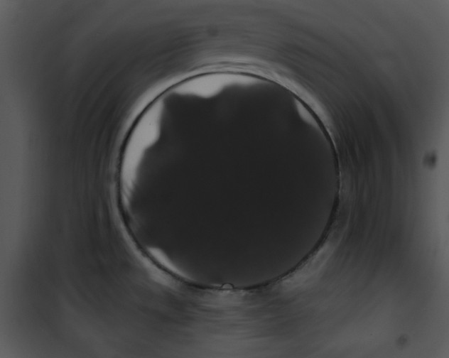 X0000100891533200807220939