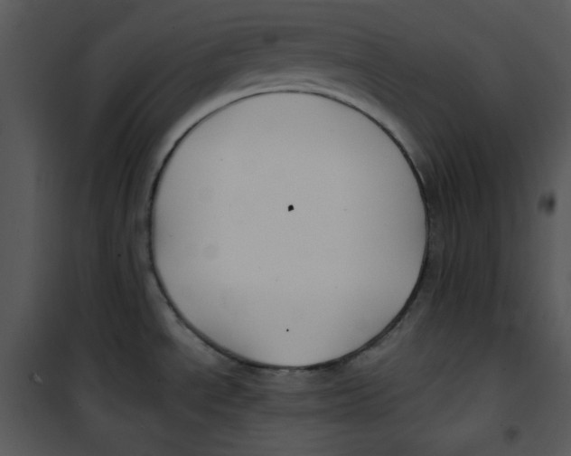 X0000100891534200807220939