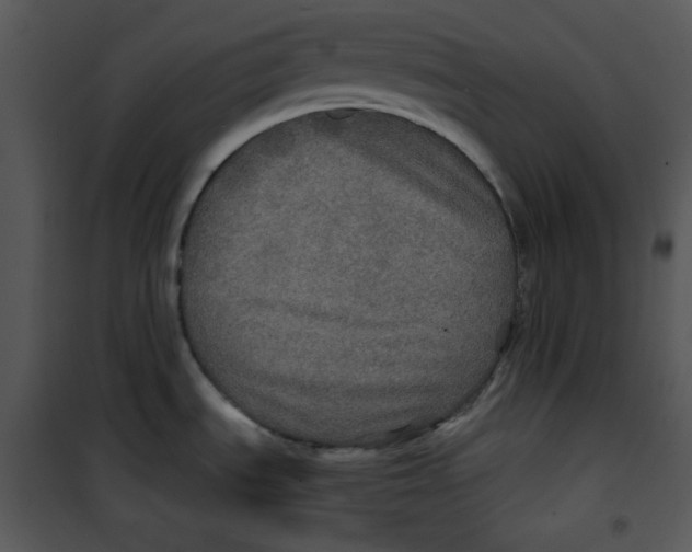 X0000100891535200807220939