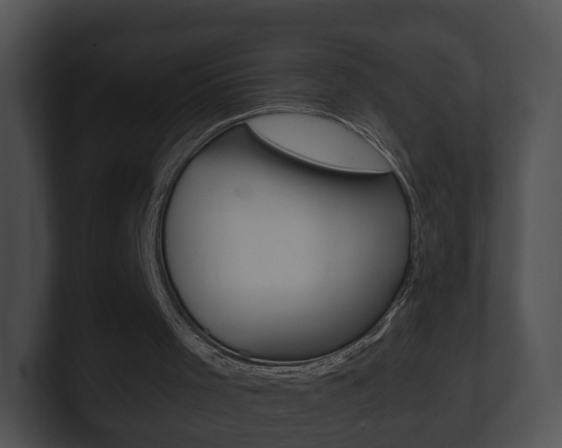 X0000100900001200806241040