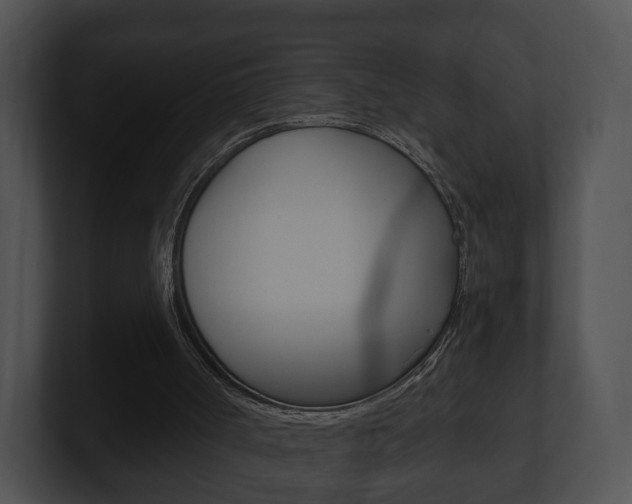 X0000100900002200806241040