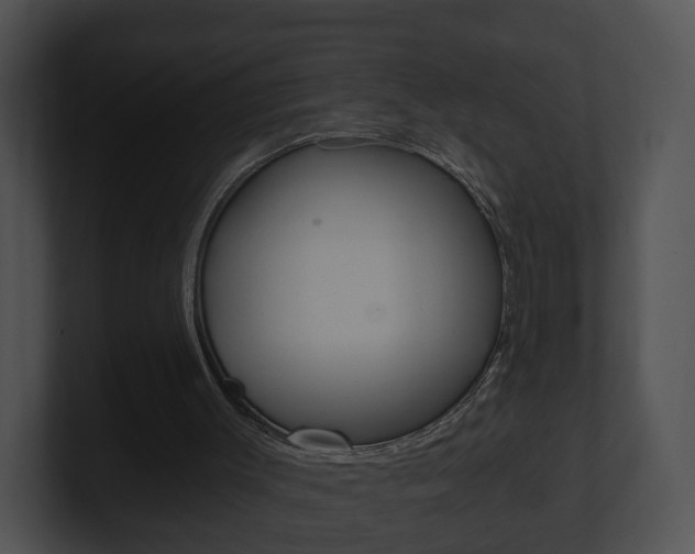 X0000100900003200806241040