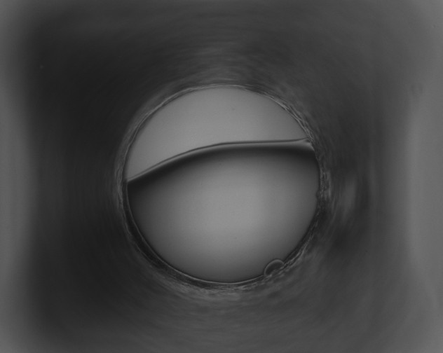 X0000100900004200806241040