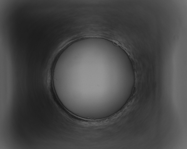 X0000100900005200806241040
