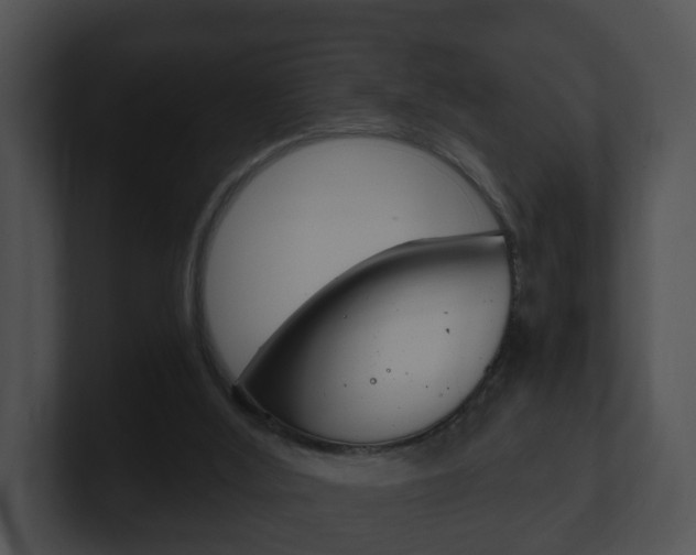 X0000100900012200806241040