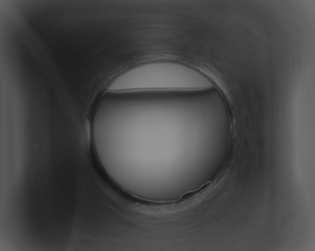 X0000100900013200806241040