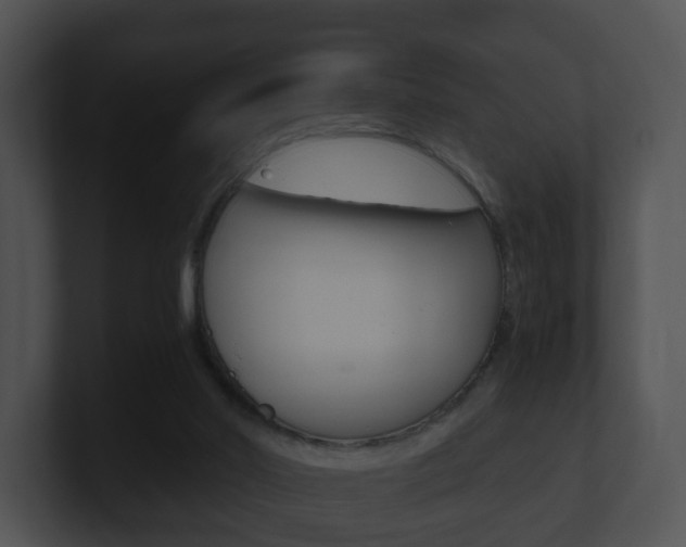 X0000100900014200806241040