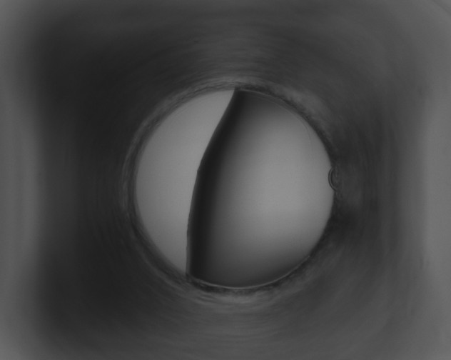 X0000100900016200806241040