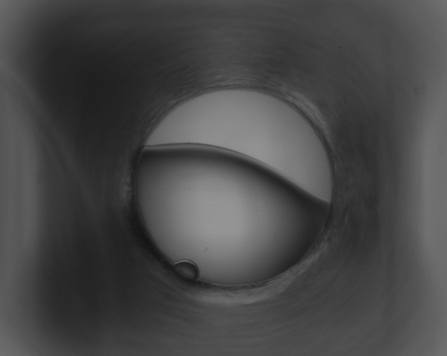 X0000100900017200806241040