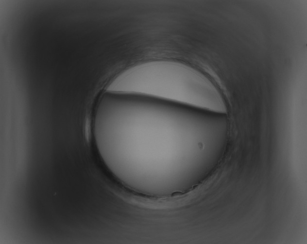 X0000100900019200806241040