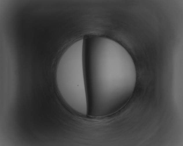 X0000100900020200806241040