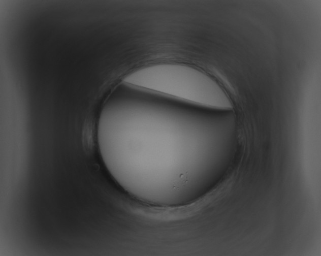 X0000100900023200806241040