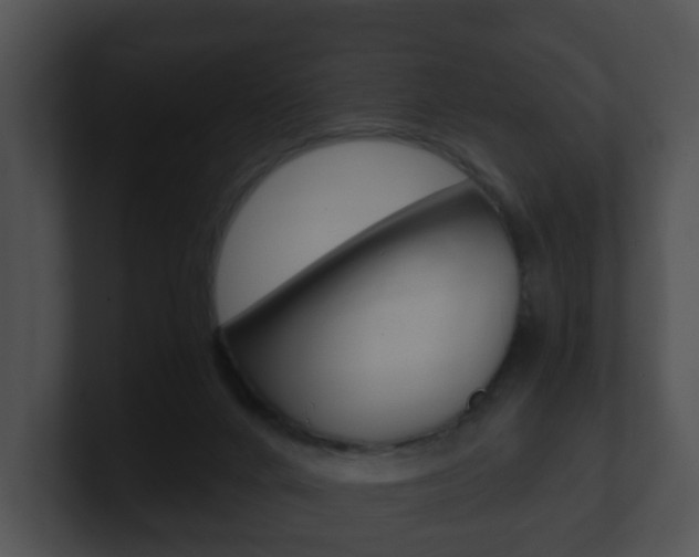 X0000100900024200806241040