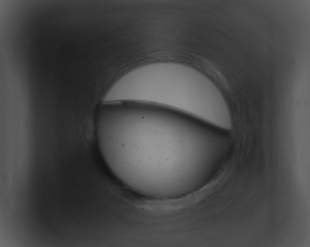 X0000100900025200806241040