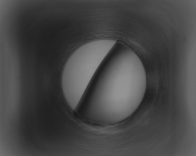X0000100900028200806241039