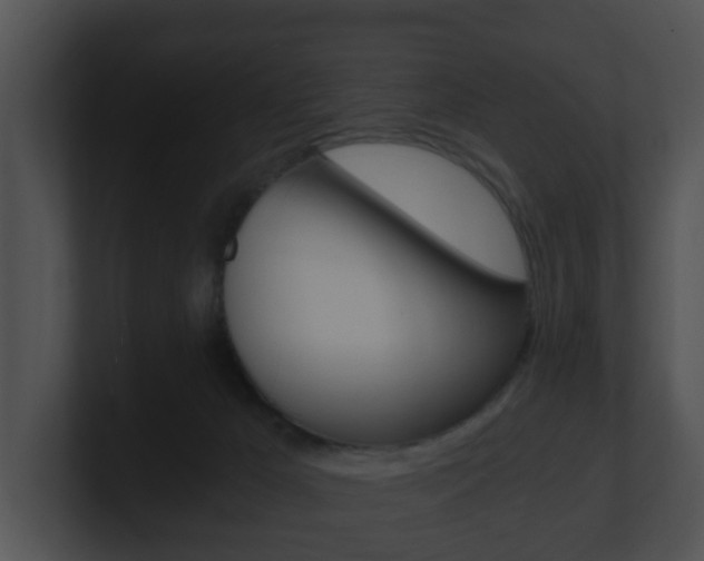 X0000100900029200806241039