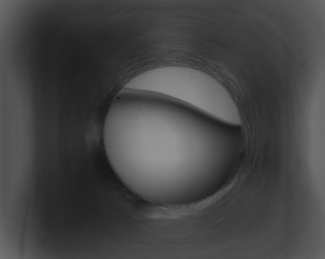X0000100900033200806241039