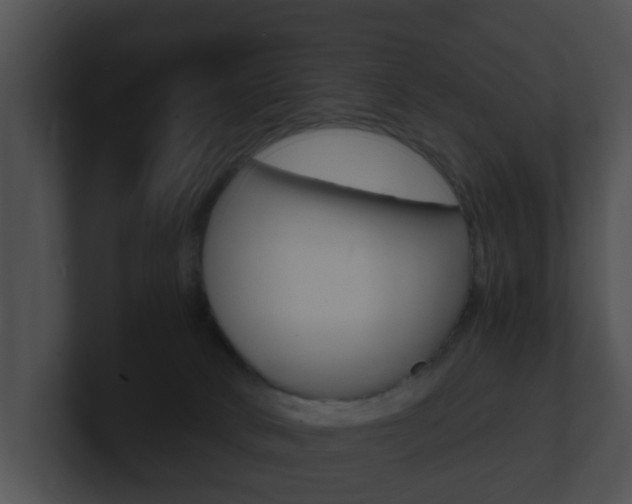 X0000100900034200806241039