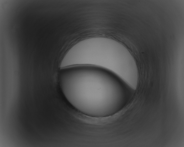 X0000100900035200806241039