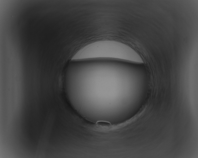 X0000100900037200806241039