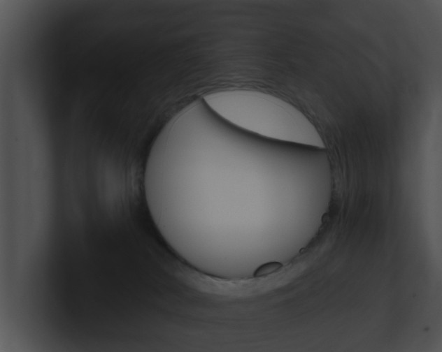 X0000100900038200806241039