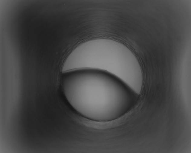 X0000100900039200806241039