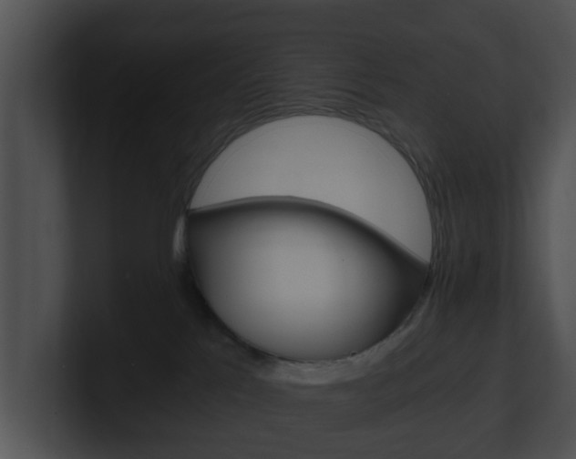 X0000100900041200806241039