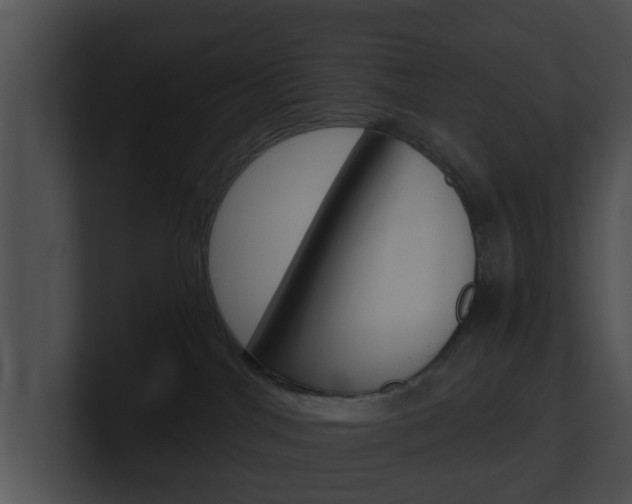 X0000100900044200806241039