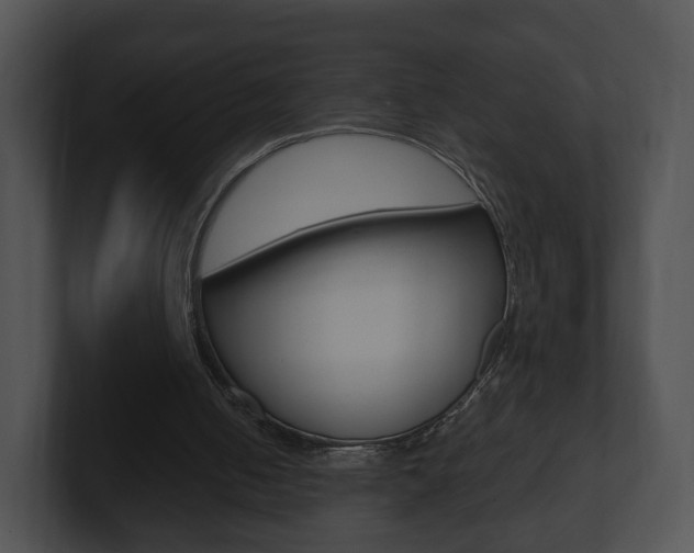 X0000100900050200806241039