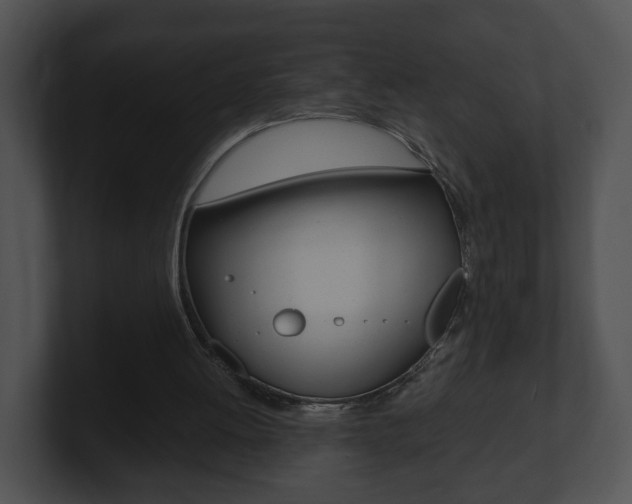 X0000100900052200806241039