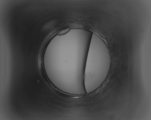 X0000100900053200806241039