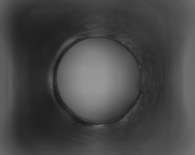 X0000100900054200806241039