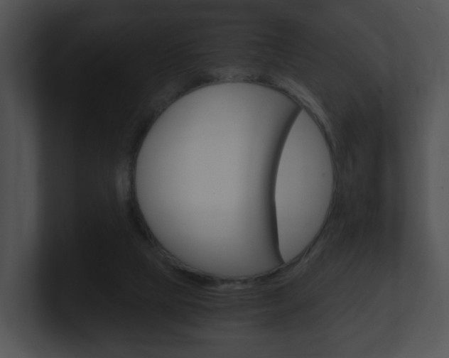 X0000100900065200806241039