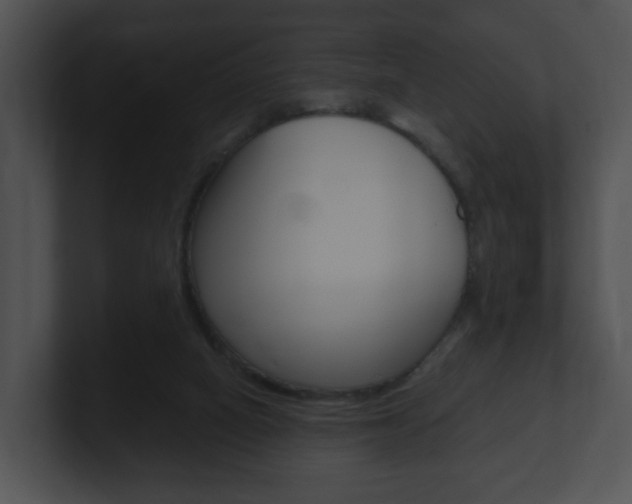 X0000100900066200806241039