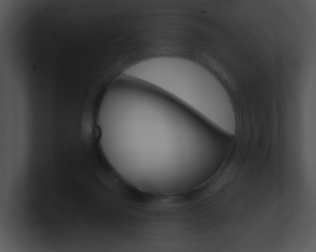 X0000100900072200806241039