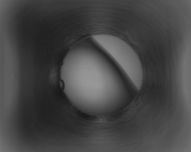 X0000100900080200806241039