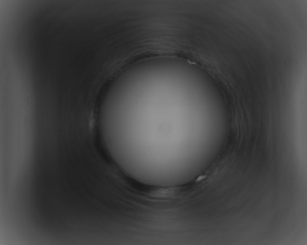 X0000100900084200806241039