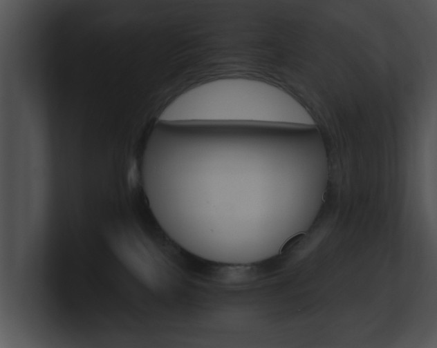 X0000100900089200806241039