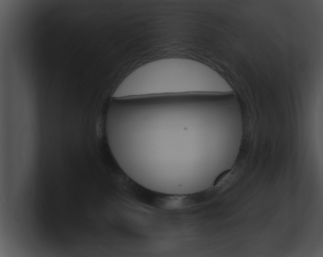 X0000100900090200806241039