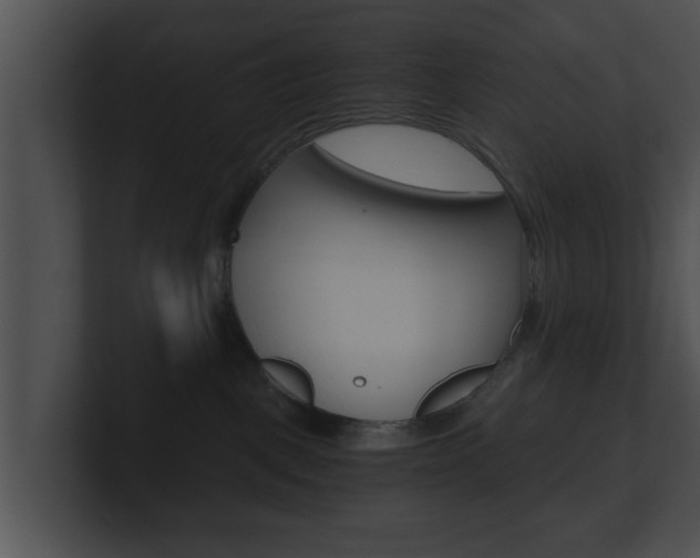 X0000100900093200806241039