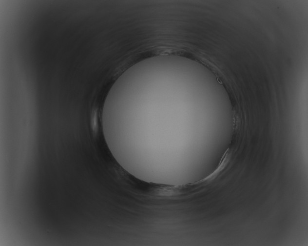 X0000100900094200806241039