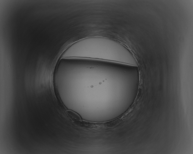 X0000100900099200806241038