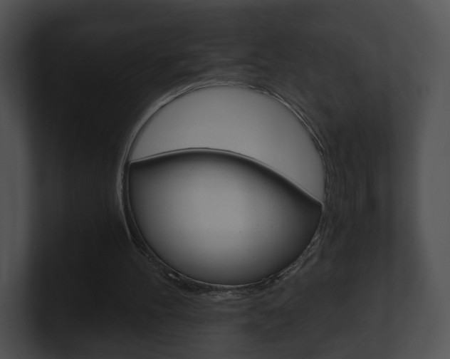 X0000100900100200806241038