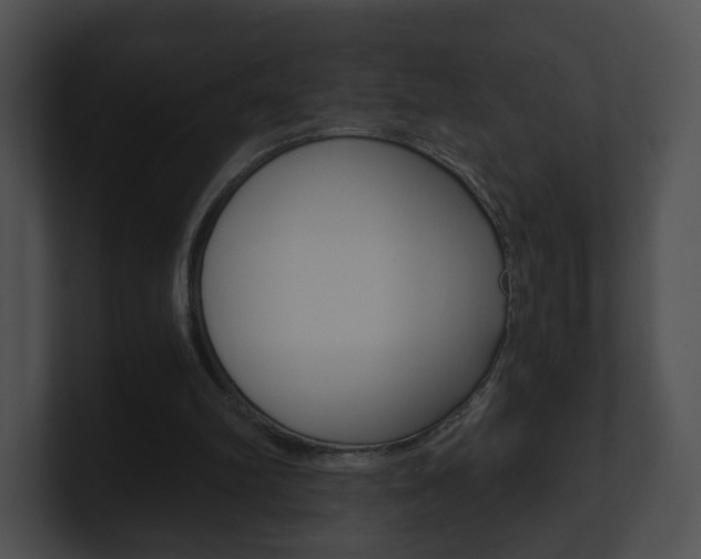 X0000100900102200806241038