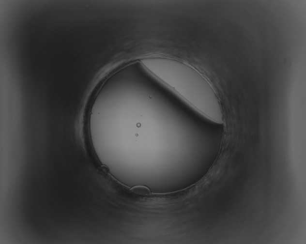 X0000100900104200806241038