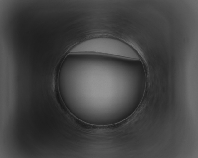 X0000100900105200806241038