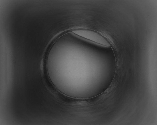 X0000100900108200806241038
