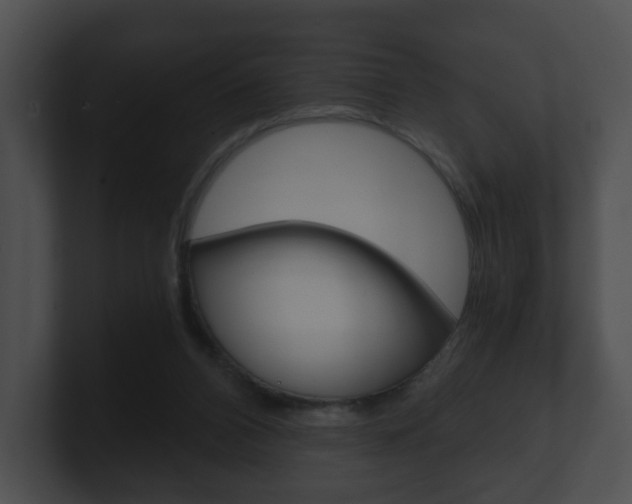 X0000100900112200806241038